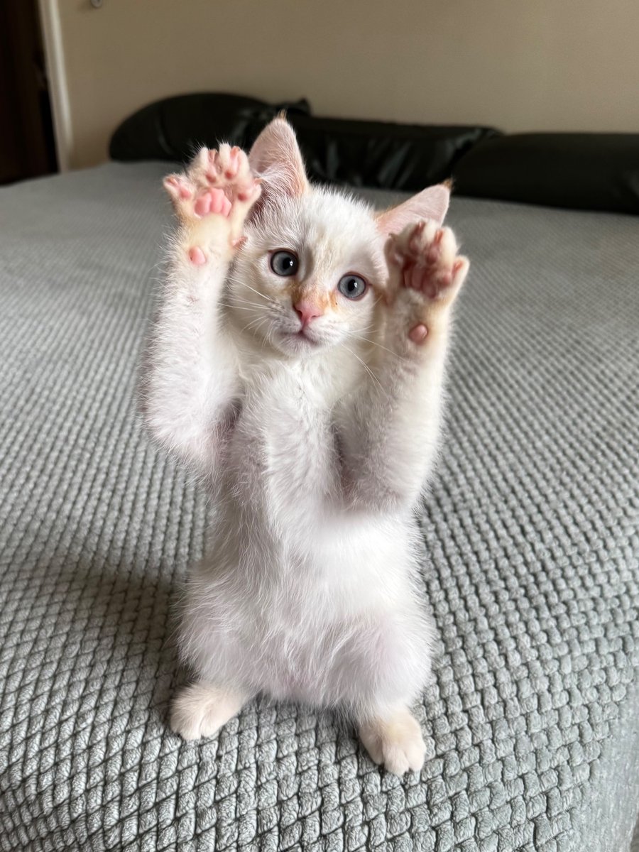 I forgot to show everyone on here my new perfect son I love him so much