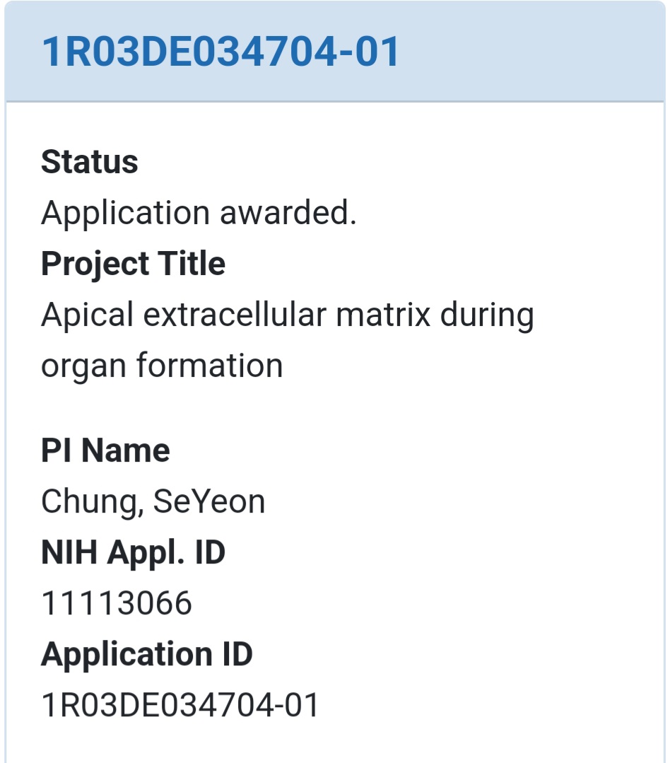 seyeon_chung's tweet image. Some good news for my lab @LSU_BioSci @lsu in this difficult time for science. I'm so grateful that our @NIH @NIDCR_NIH grant has been funded. Council meeting was canceled in Jan, but resumed privately(?) and decision was made recently.