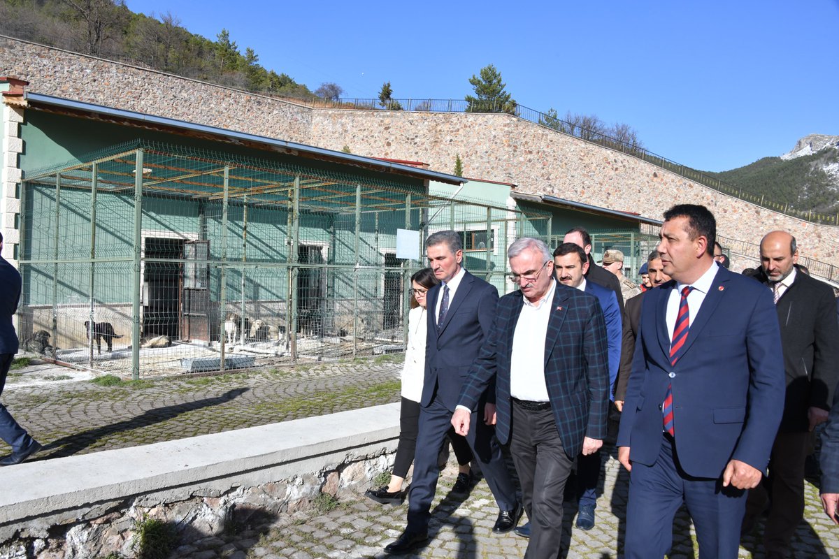 Ghanevalilik's tweet photo. 📌 Valiliğimizde, İçişleri Bakan Yardımcımız Sayın Münir Karaloğlu’nun katılımlarıyla "Hayvanları Koruma Kurulu" toplantısı gerçekleştirildi.
📌 İlgili kurum temsilcilerinin iştirak ettiği toplantıda, 5199 sayılı Hayvanları Koruma Kanunu ve ilgili yönetmelikler çerçevesinde; sokak hayvanlarının korunması, bakımı ve sağlıklı bir yaşam alanı oluşturulmasına yönelik ilimizde yürütülen çalışmalar değerlendirildi. Ayrıca kamu esenliğini sağlamak adına atılacak yeni adımlar ele alındı.
📌 Kurumlar arası iş birliğini güçlendirmek, sahipsiz hayvanlara daha güvenli yaşam koşulları sunmak amacıyla ortak projelerin hayata geçirilmesi yönünde fikir alışverişinde bulunuldu.
📍 Toplantının ardından, Gümüşhane Belediyesi Hayvan Bakımevi ziyaret edilerek incelemelerde bulunuldu.