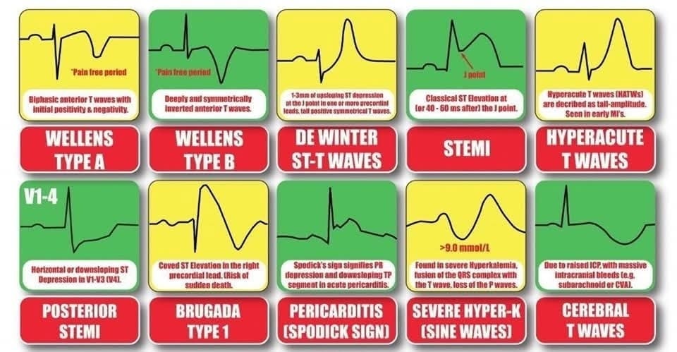 The Heart tweet media