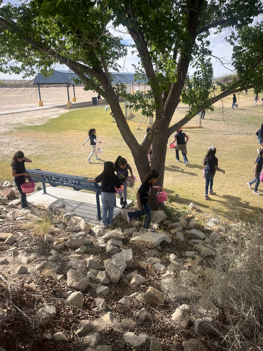 Jessica A. Yildirim (@jayild1) on Twitter photo 🐰 🐥 Our students are egg-stra excited…. because our Easter Egg Hunt is hopping through the day! #FESWhereExcellenceBegins <a href="/FabensISD/">Fabens Independent School District</a> <a href="/RogelioSegovi13/">Rogelio Segovia, PhD</a> <a href="/VJBrashear44/">Veronica J. Brashear</a> 🐰 🐥 Our students are egg-stra excited…. because our Easter Egg Hunt is hopping through the day! #FESWhereExcellenceBegins <a href="/FabensISD/">Fabens Independent School District</a> <a href="/RogelioSegovi13/">Rogelio Segovia, PhD</a> <a href="/VJBrashear44/">Veronica J. Brashear</a>