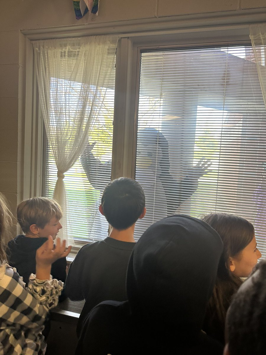 So proud of these sharks for getting 100% on their ST Math journeys!! What better way to celebrate than by having a penguin party?! We even had a special visitor! 🐧 
<a href="/WoParkSharks/">Worthington Park Elementary School</a> #itsworthit