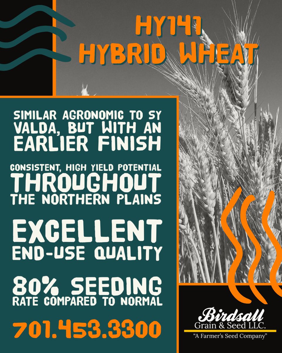 BirdsallSeed's tweet image. Give us a call to book yours today! We are committed to providing your farm with the 𝙫𝙚𝙧𝙮 𝙗𝙚𝙨𝙩 seed!
✅Clean
✅Quality
✅State-Certified

📱Give us a call at (701)453-3300 and let’s plan for a successful 2025 crop year!