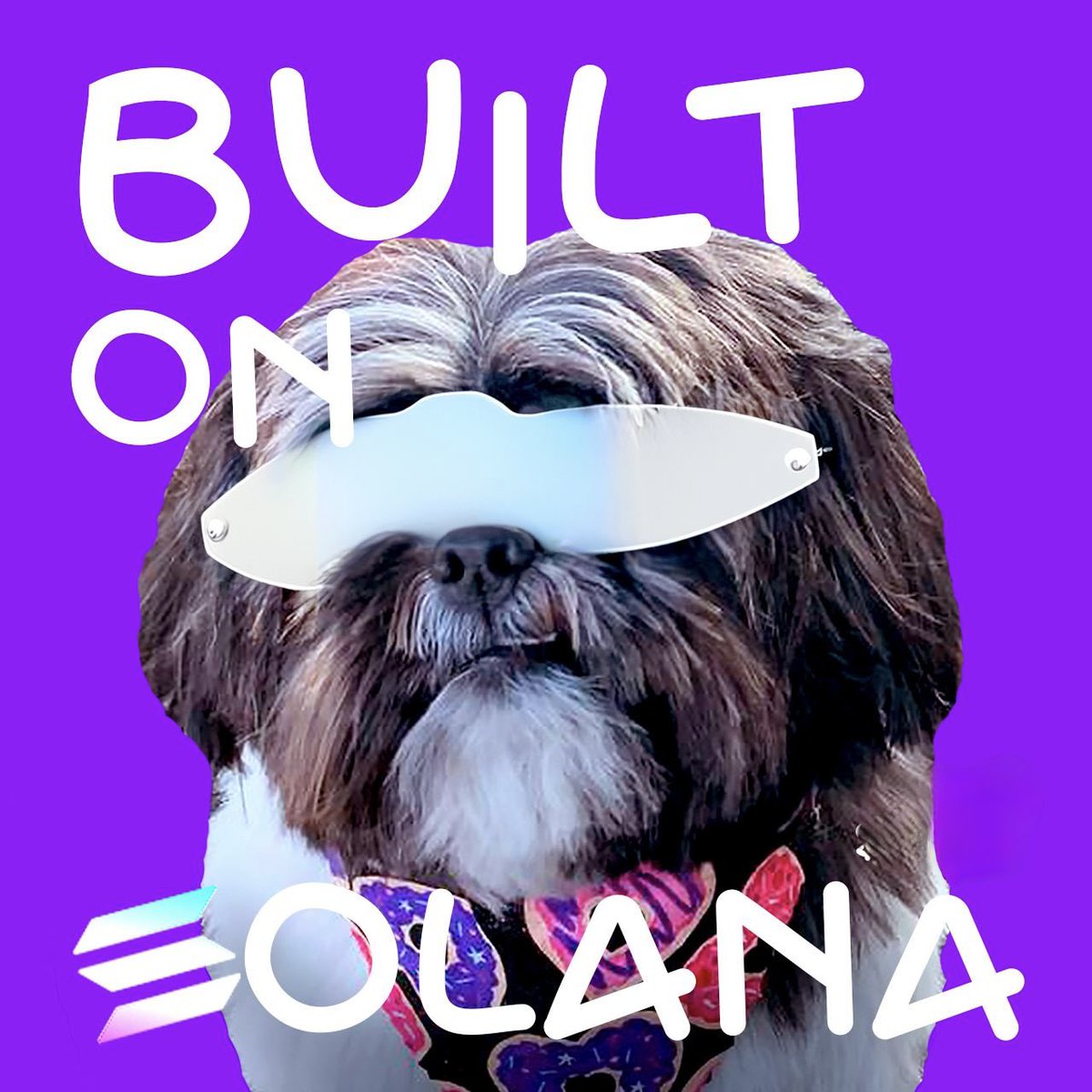 Meme coins don’t sleep — and neither do we.

While others are out there rugging, we’re out here building (and petting Benji).

No major updates today, but just know the engine is running behind the scenes.

Benji.webby.fun

#BenjiArmy  #Solana #SolanaEcosystem