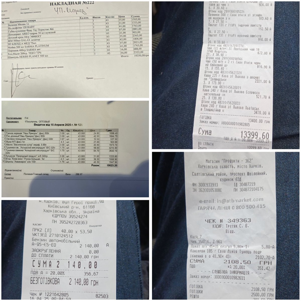 Polina Shumakova tweet media