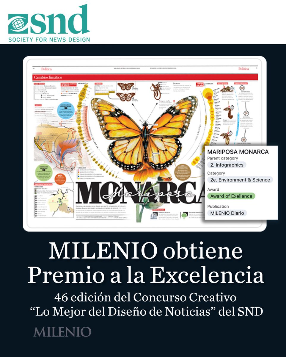 🦋 La infografía 'Mariposa Monarca' de MILENIO fue reconocida con un Premio a la Excelencia por la Society for News Design, que destaca lo mejor del periodismo visual a nivel mundial. La pieza, publicada en diciembre de 2024, retrata el ciclo de vida, migración y amenazas de esta