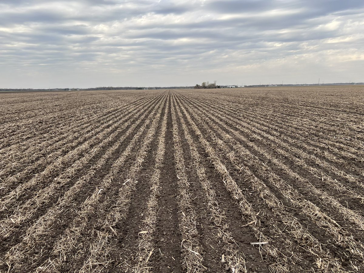 #striptill on 20” rows with Yetter Strip Freshener CC units making a beautiful seedbed. Making strips and placing N to both sides of where we will plant corn. This was no tilled soybeans into rolled rye last year. Great armor on the soil and field is very clean.