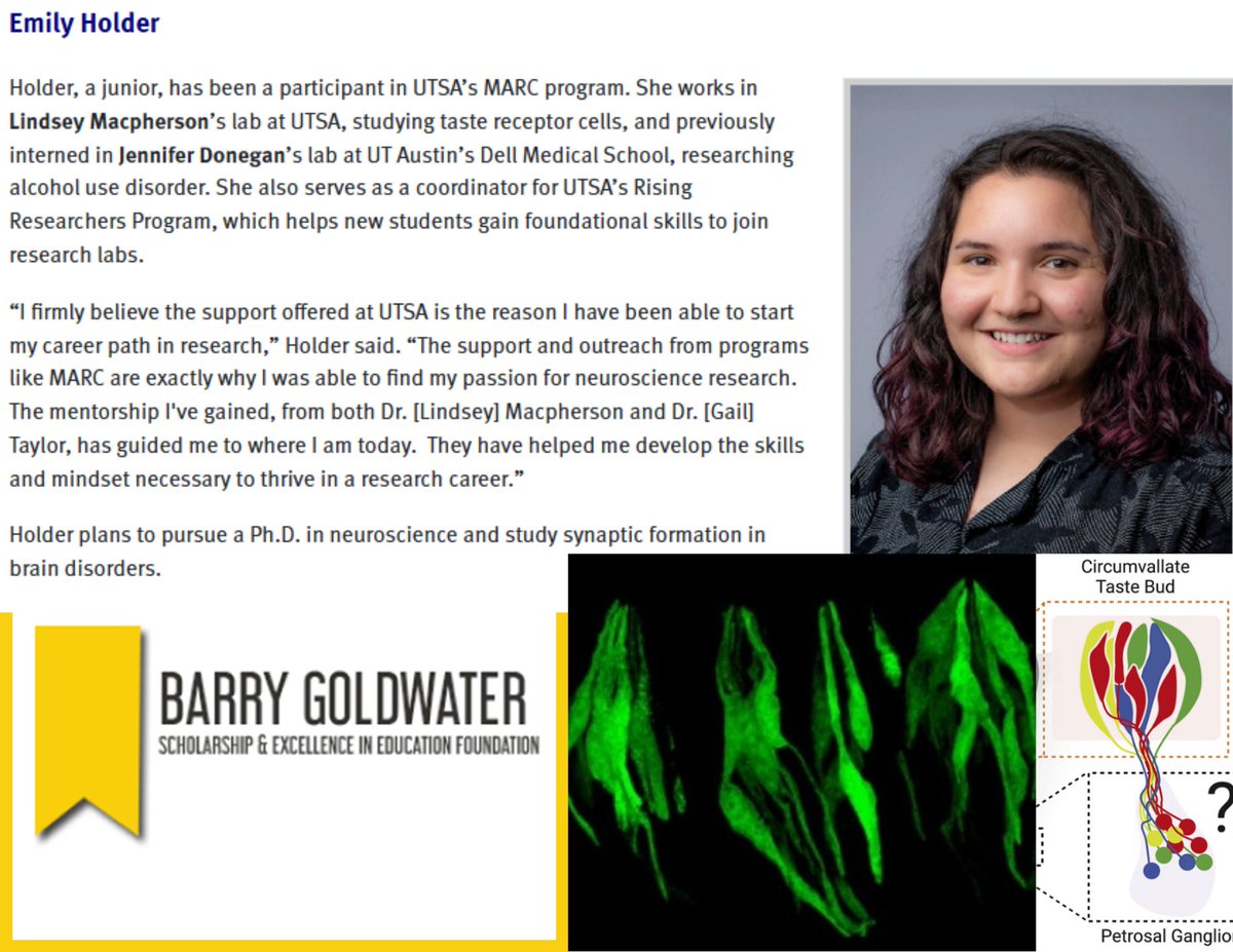 Shout out to Emily Holder from the Macpherson Lab on winning the 2025 Barry Goldwater Scholarship. UTSA is one of only two Texas institutions with students selected. 
Check out the awesome work she is a part of: macphersonlab.org
utsa.edu/today/