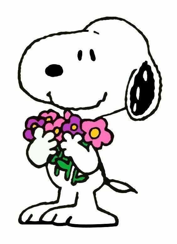 ˖⁺‧₊˚♡˚sainz snoopy ˚♡˚₊‧⁺˖ (@csainzsnoopy) on Twitter photo 