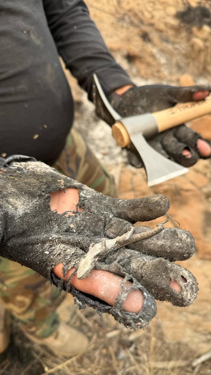 INDICEMEDIAMX's tweet image. ⭕️ #ProFauna | Autoridades ambientales acuden a Atltzayanca a proteger la fauna nativa ante fuerte incendio  #ÍNDICEMEDIA  is.gd/ClgSGI