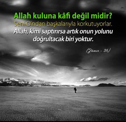 greenmen (@adrianobetis) on Twitter photo 