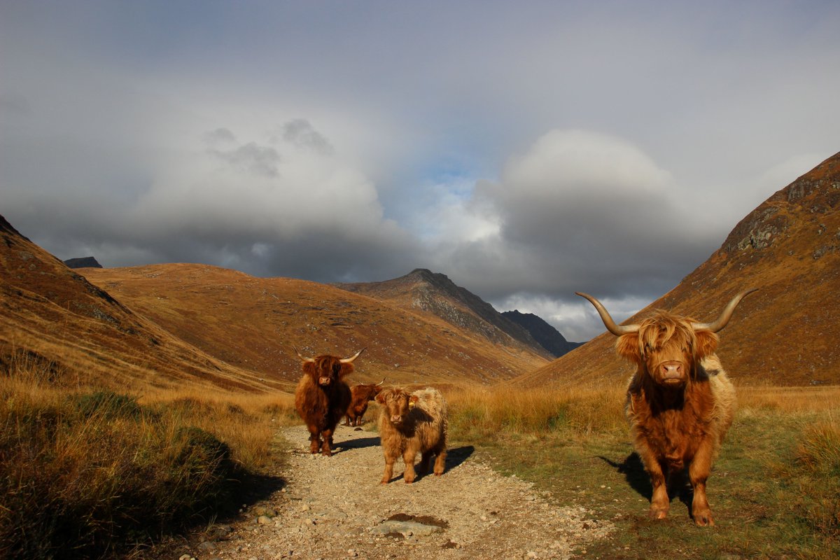 British Geological Survey tweet media