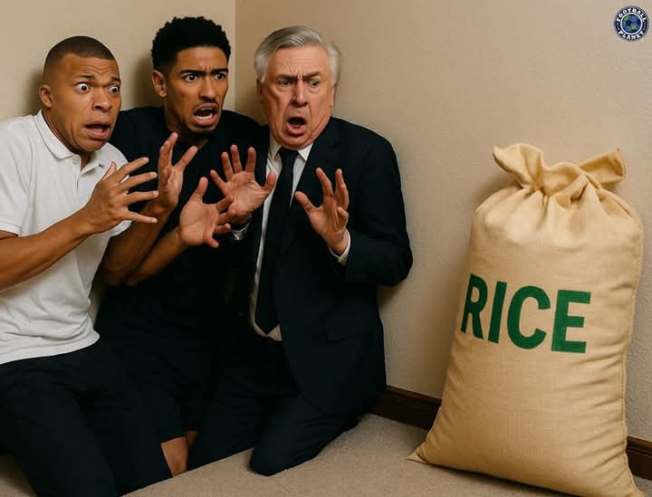 🤣🤣🤣🤣🤣🤣🤣🤣🤣