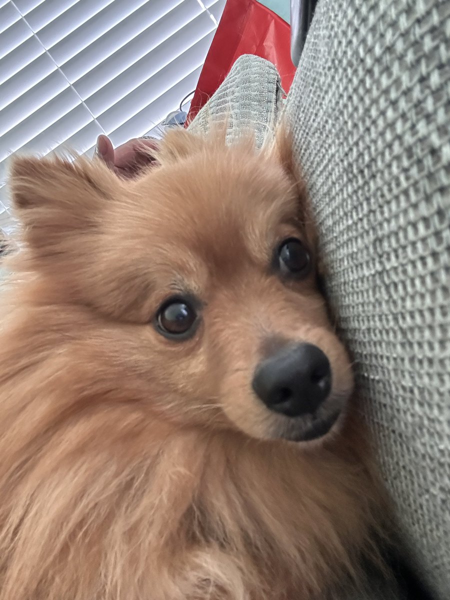 Felt cute, might delete later xo
