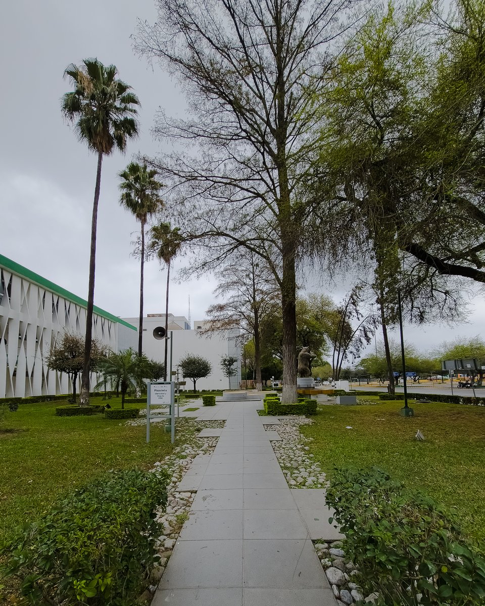 FIME_Oficial's tweet photo. 🌳 Una mañana nublada en la Plazoleta de Identidad y Orgullo, donde la calma y la historia se encuentran en cada paso. ✨ Tomada por un Fotógrafo Anónimo 👤 #FIMEpic

#TodosSomosFIME
#ViveLaFIME
#photography https://t.co/3Gsbbbs3cJ