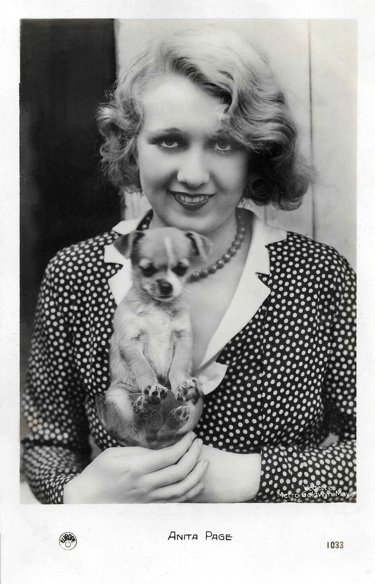 FriendlessGhoul's tweet photo. Anita Page (during the filming of Sidewalks of New York), Buster Keaton and Ramon Novarro with Ramon's Chihuahua, Chiquita.
#oldhollywood #anitapage #busterkeaton #ramonnovarro #damfino https://t.co/vQQ3trTQnP