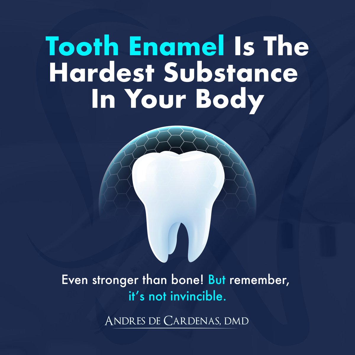 drdecardenas's tweet photo. Did you know your teeth are just as unique as your fingerprints? 🤯 

Learn more fun and surprising facts about your oral health! Taking care of your smile starts with knowledge. 🦷✨ 

#FunFacts #OralHealth #HealthySmile #DrAndresDeCardenas https://t.co/YYCJBnlHYG