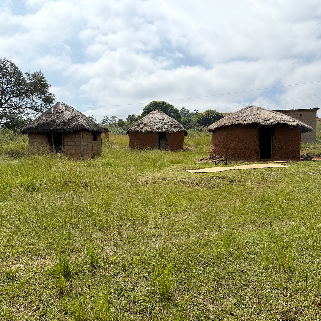 NateyesPhoto's tweet image. Traditional houses in rural eSwatini.

We visited the family who live here; they graciously let us see their home and photograph the area.

#eSwatini #africa #wanderlust #traveltheworld