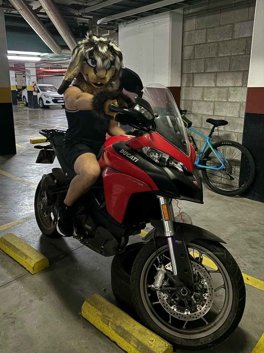 Y no fuimo'

🪡 <a href="/CraftyMike_fur/">Crafty Mike - Coms Closed</a>