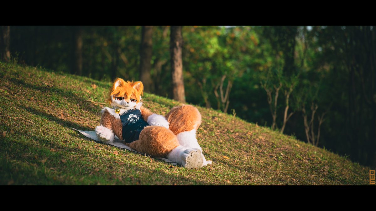 Basking in the sun☀️
🐱:NEKOLUM

I really like using 135mm lens to shoot wide scene shots!