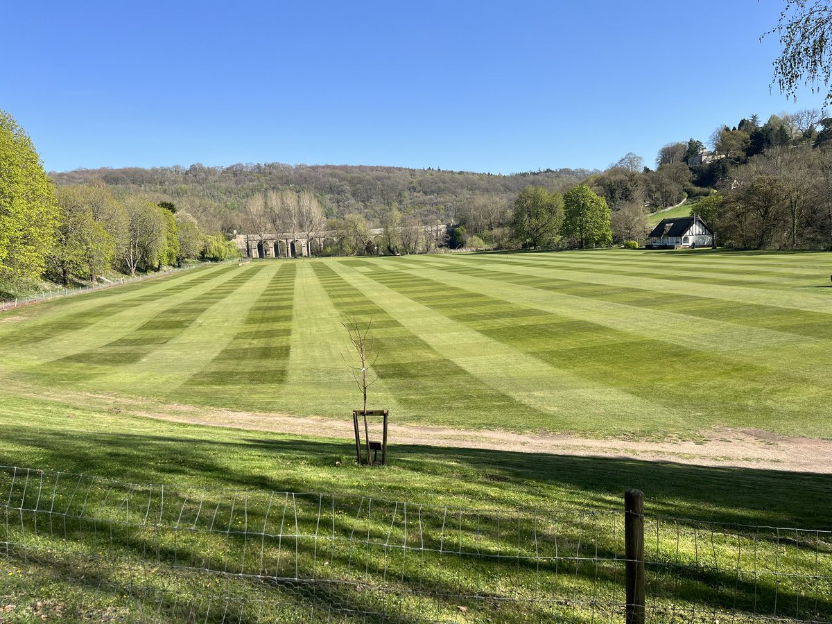 Bit of colour being brought in to the whole site. 

Outfield looks ok from a distance and that about it, lots of work to be done.