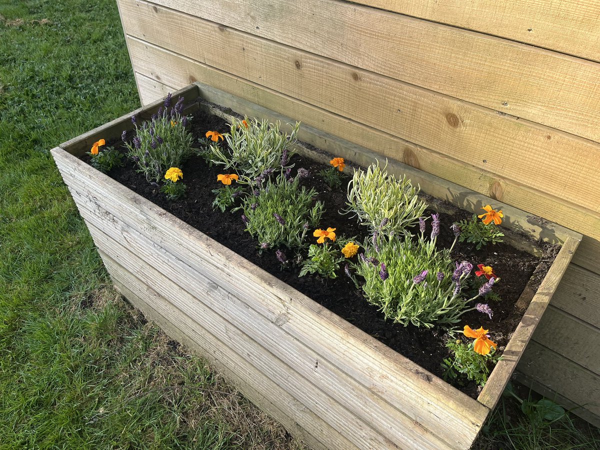 Jack Cowan tweet media