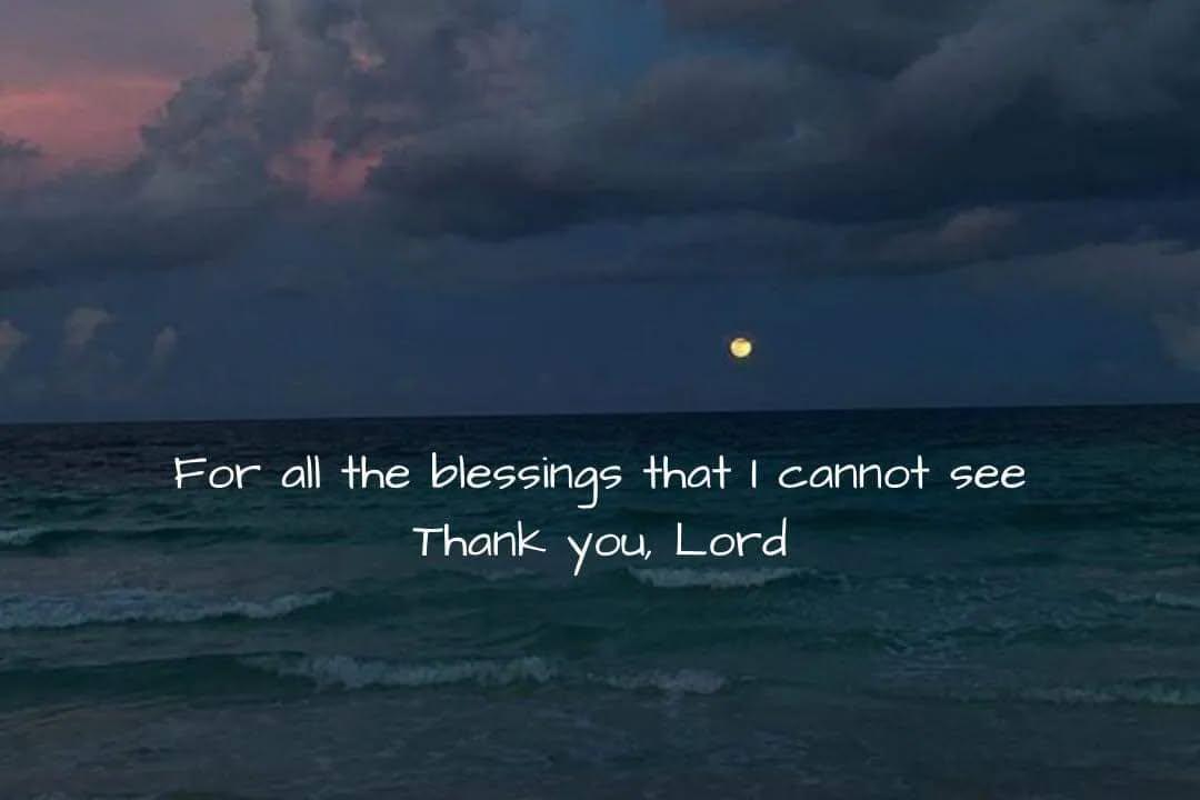 wangtaa (wa di bio) tweet media