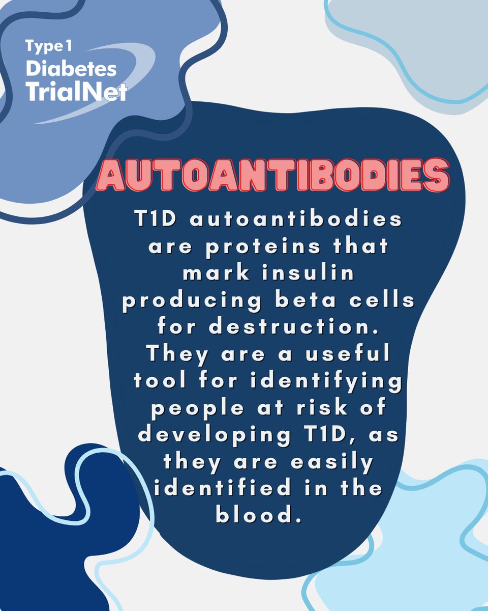 TrialNet can test for up to five T1D autoantibodies. Almost all individuals who develop two or more of these diabetes-related autoantibodies will eventually be diagnosed with T1D.

Register at trialnet.org/participate for free T1D risk screening for those with a relative with T1D.