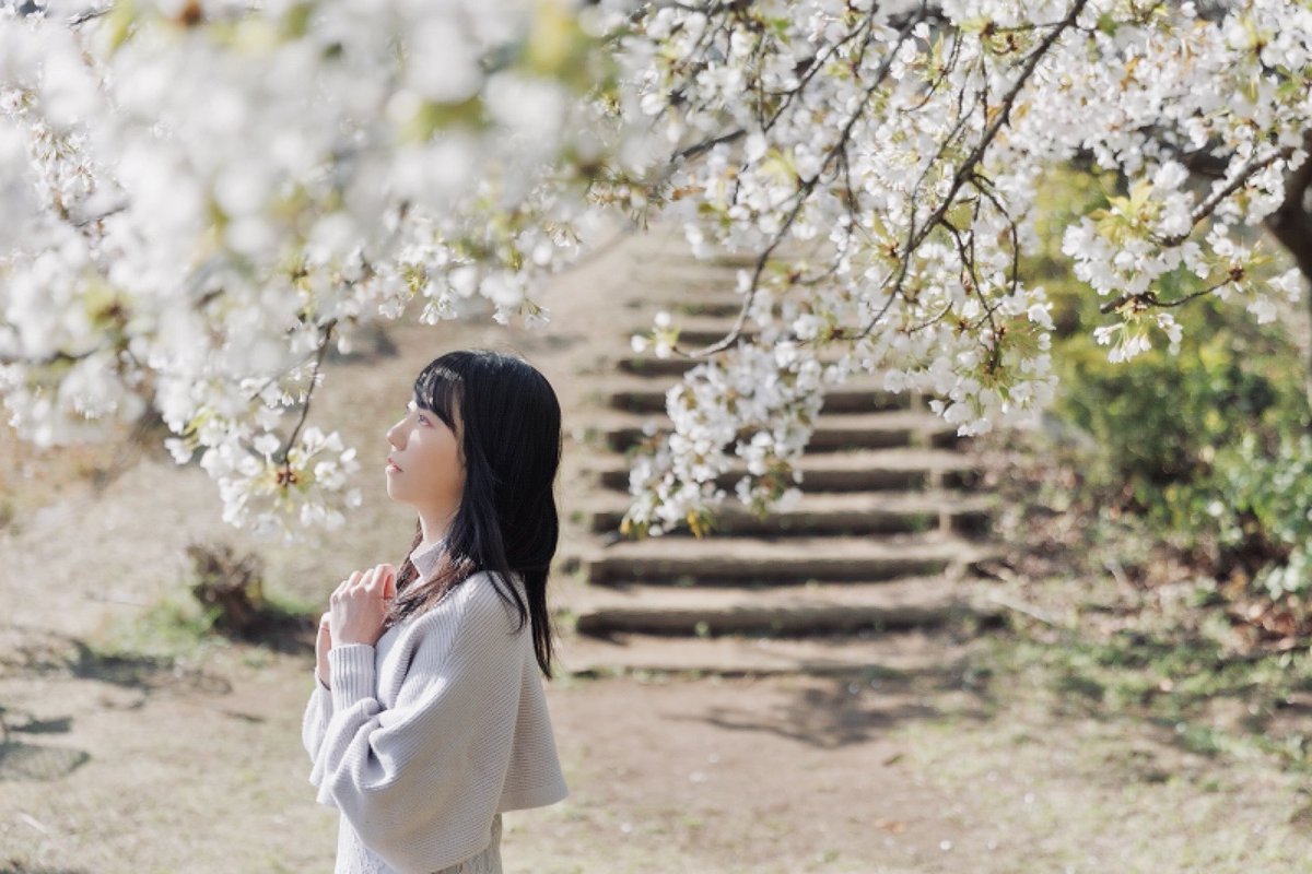 Studio Nikko@撮影サービス tweet media