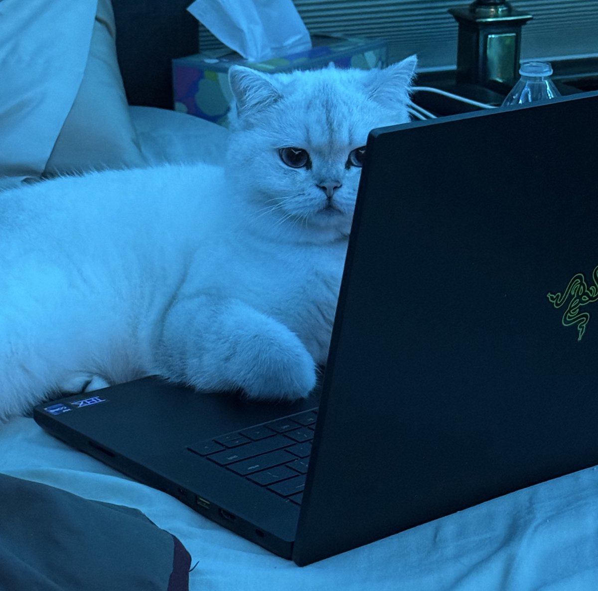 SenzVT's tweet photo. I’VE BEEN HACKED https://t.co/GrkzIMoLgW