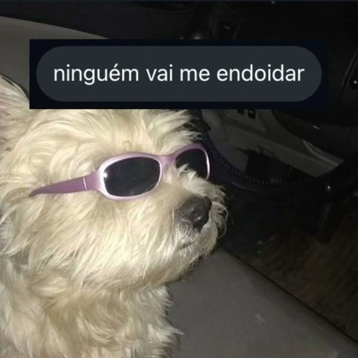maybittencourts's tweet photo. Eu tô lutando contra meu lado tóxico e não tá fácil https://t.co/1Ef1xs8SEC