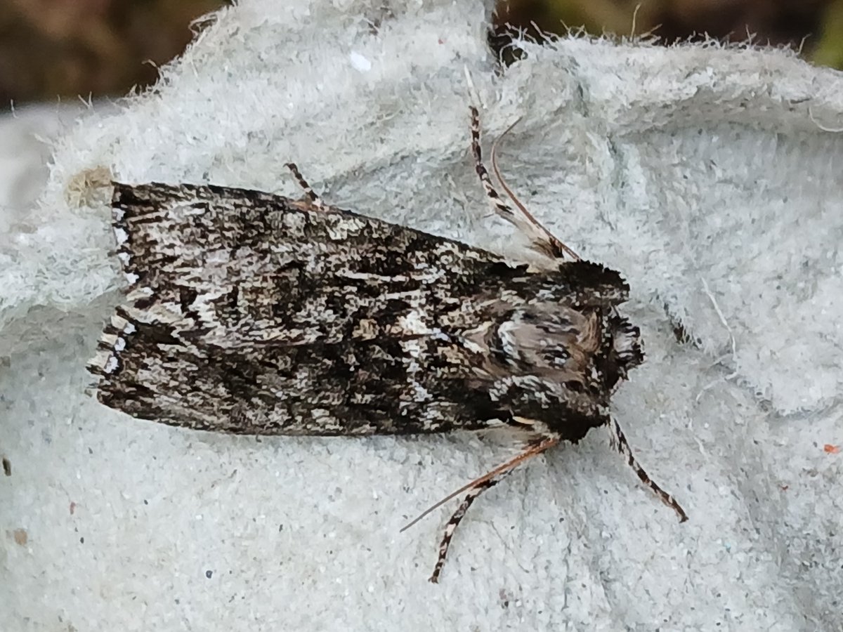 Baggeridge Park tweet media