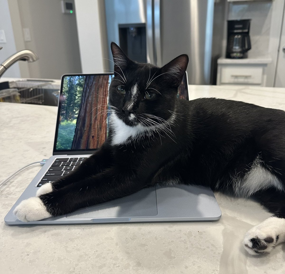 101.5 LITE FM tweet media