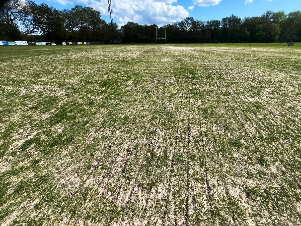Parkers Pitches Ltd (@parkerspitches) on Twitter photo Spring renovations in full flow at the moment, and finally in ideal conditions after some rain.
Up and down the A12 this week <a href="/BillericayRFC/">Billericay RFC</a>. Pitches have been verti-drained, 100 tonnes of sand spread and seeded. 🤞for more rain next week and should come a treat. Spring renovations in full flow at the moment, and finally in ideal conditions after some rain.
Up and down the A12 this week <a href="/BillericayRFC/">Billericay RFC</a>. Pitches have been verti-drained, 100 tonnes of sand spread and seeded. 🤞for more rain next week and should come a treat.