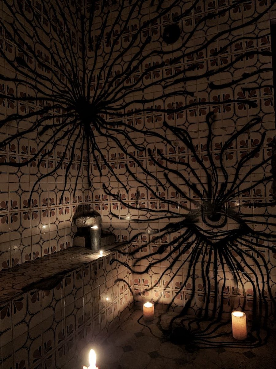 پاشید بیاید خود-کشی‌.