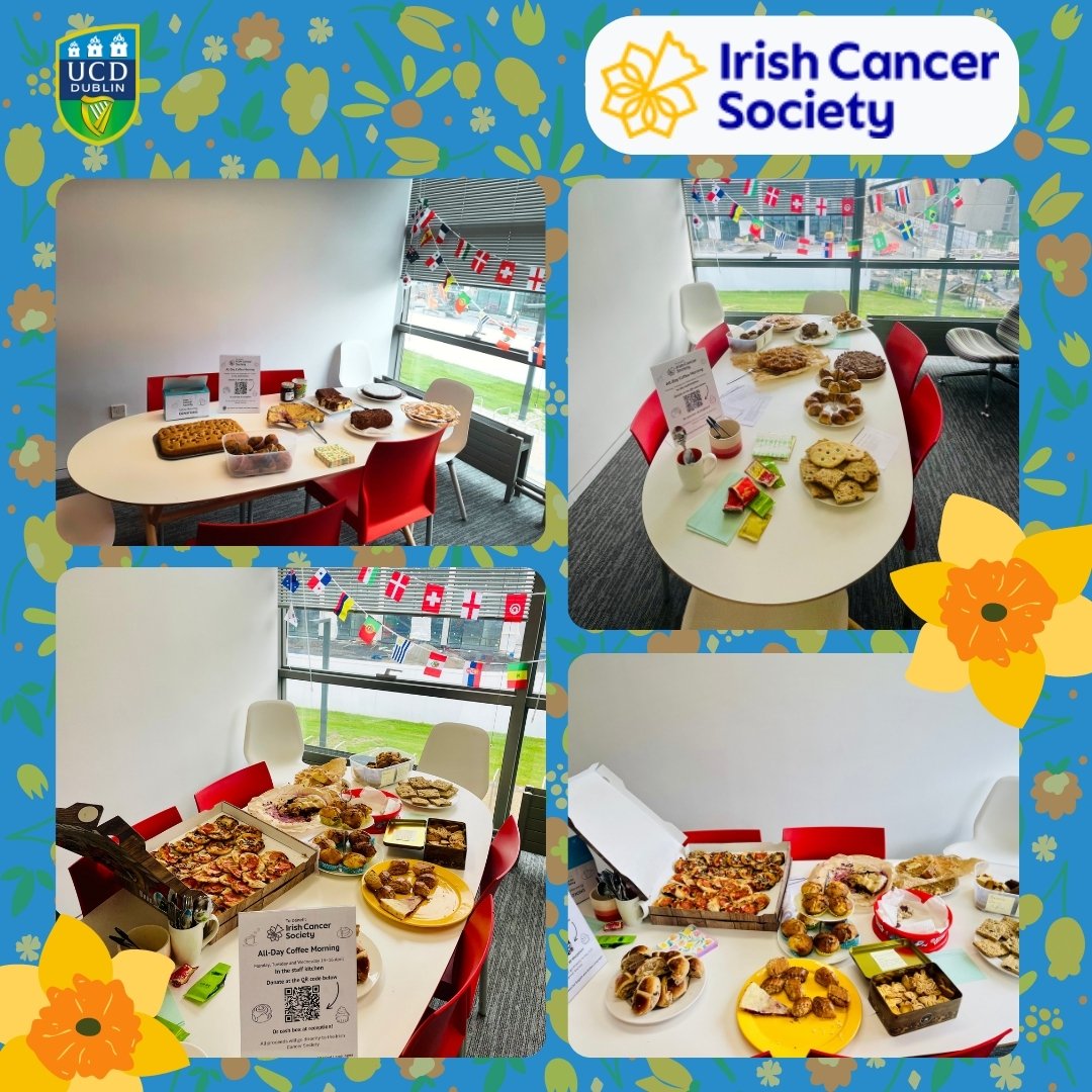 UCD Centre for English and Global Languages tweet media