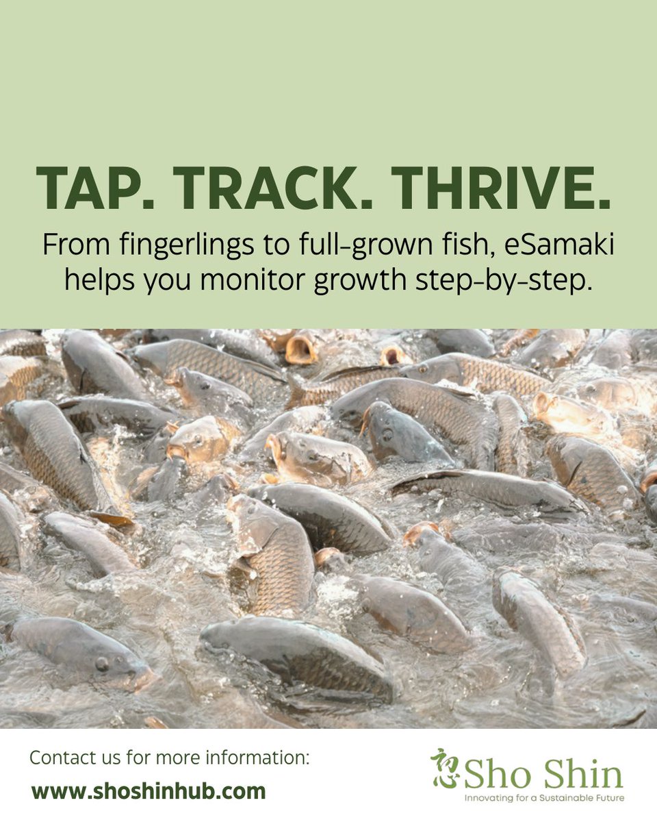 shoshinhub's tweet image. No more guesswork. eSamaki helps Kisii farmers track fingerling growth, spot problems early, and plan harvests better. 
Tap. Track. Thrive. 
#GrowthTracking #SmartFishFarming #eSamakiInAction #BlueTechKE #TechForFarmers