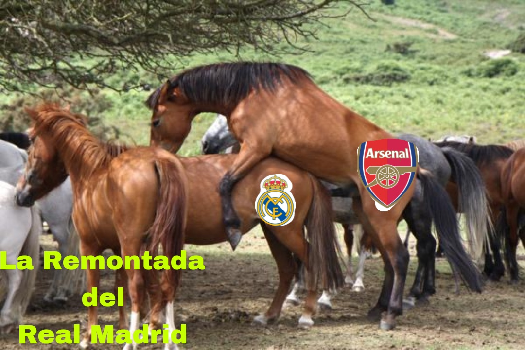 Fabián MARCELO tweet media