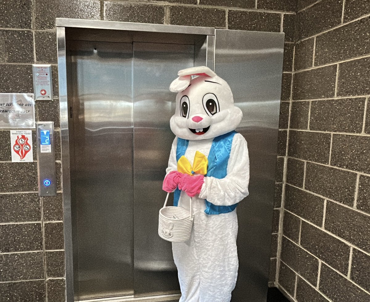 ccs_super's tweet photo. Look who hopped by CHS today. Spreading smiles, high-fives, and springtime cheer all over @CHS_LeadsTheWay
Buddy saysโฆ THANK YOU, Easter Bunny! A few sweet treats and a whole lot of fun make it a great day! #RedwolvesNation @CCSredwolves https://t.co/MYkrheEpPh
