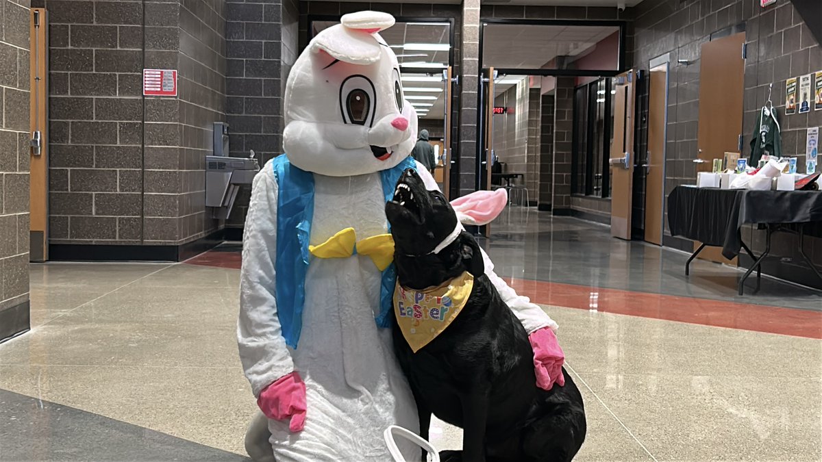 ccs_super's tweet photo. Look who hopped by CHS today. Spreading smiles, high-fives, and springtime cheer all over @CHS_LeadsTheWay
Buddy saysโฆ THANK YOU, Easter Bunny! A few sweet treats and a whole lot of fun make it a great day! #RedwolvesNation @CCSredwolves https://t.co/MYkrheEpPh