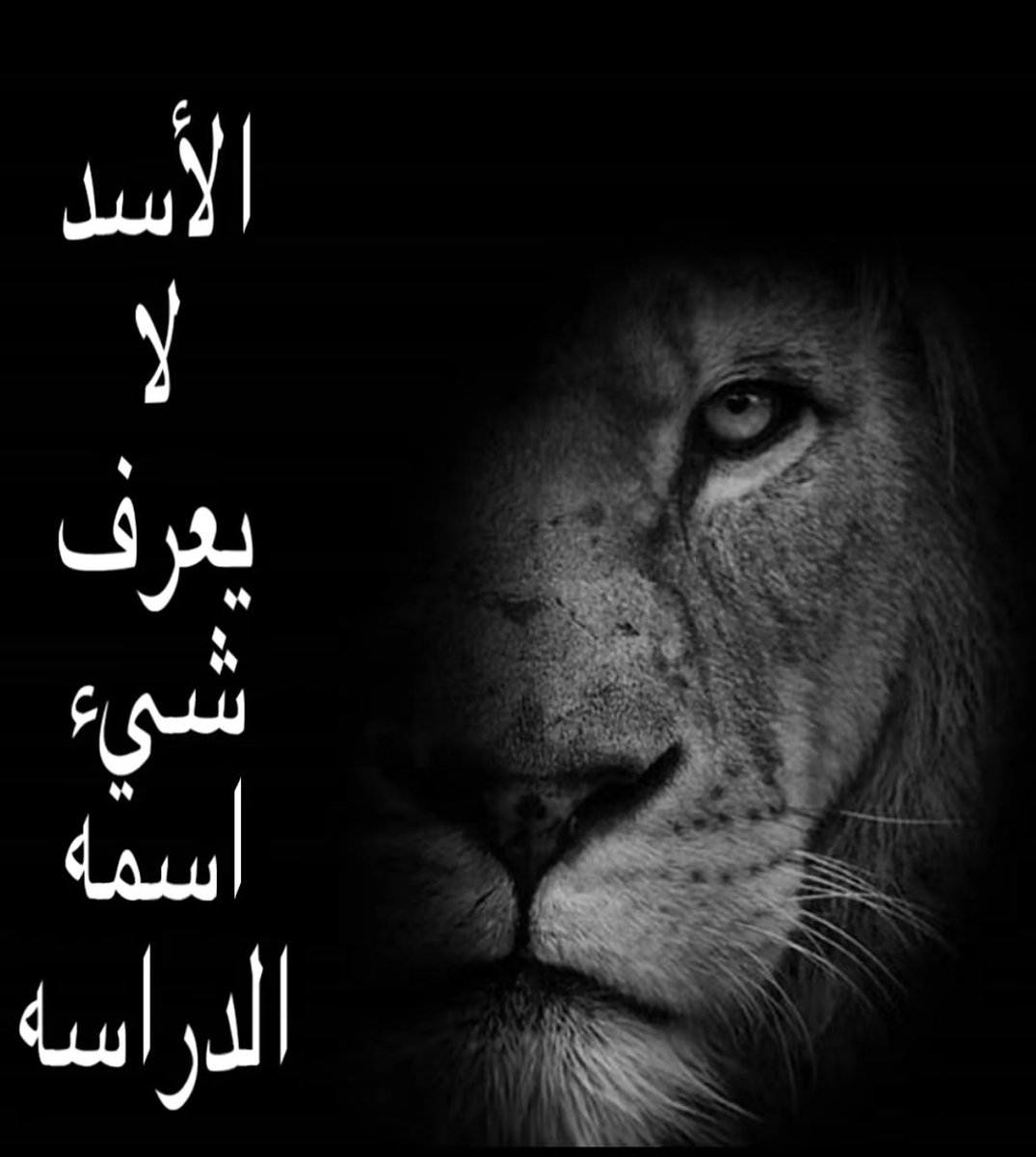 Emad (@test_emad) on Twitter photo 