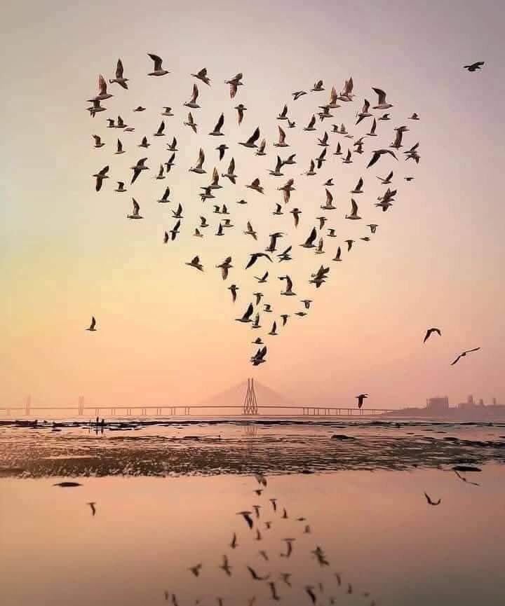 ❤الود  بالود  يسقى ❤
والصدق  بالصدق يجزى 
ومن كان لنا سكنّا كنا له وطنا
نحن بسطاء نؤمن بالعفوية والنقاء 
ونعذر من نسي ونُسعد من بقي
ومن ساق لنا بالطيب قولًا وفعلا 
 سقنا له بالود والمحبة والإحترام 
#مساؤكم_سعادة