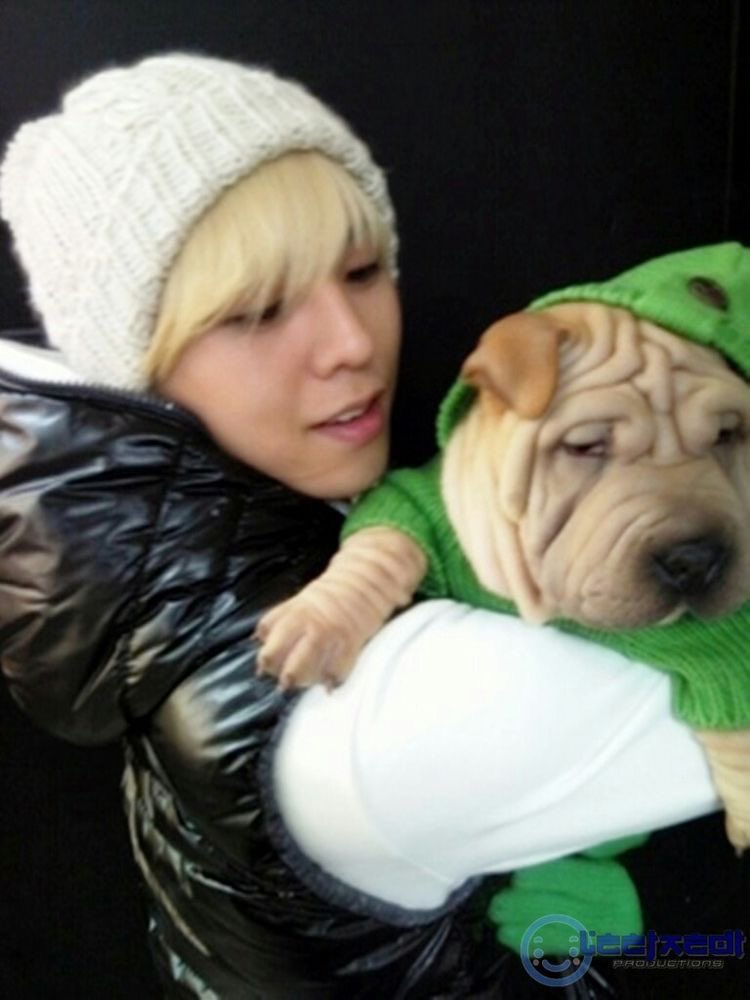 DS_V_STAR's tweet photo. 이거 공유해주신 트친분 감사드려요
잘 볼게요 https://t.co/QVDExaM8iT