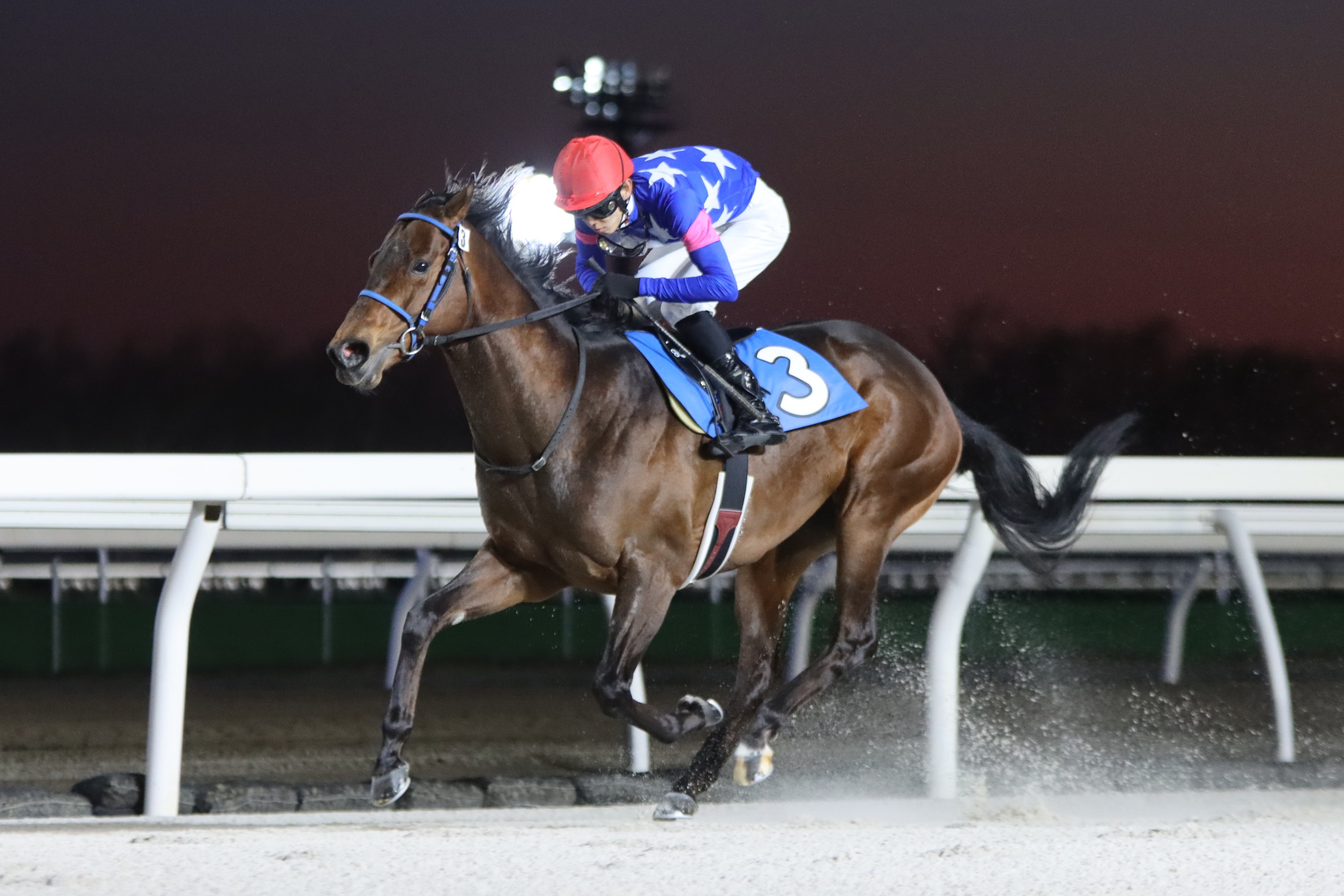 がんばれ!ホッカイドウ競馬 on X: がんばれ!ホッカイドウ競馬 on X: