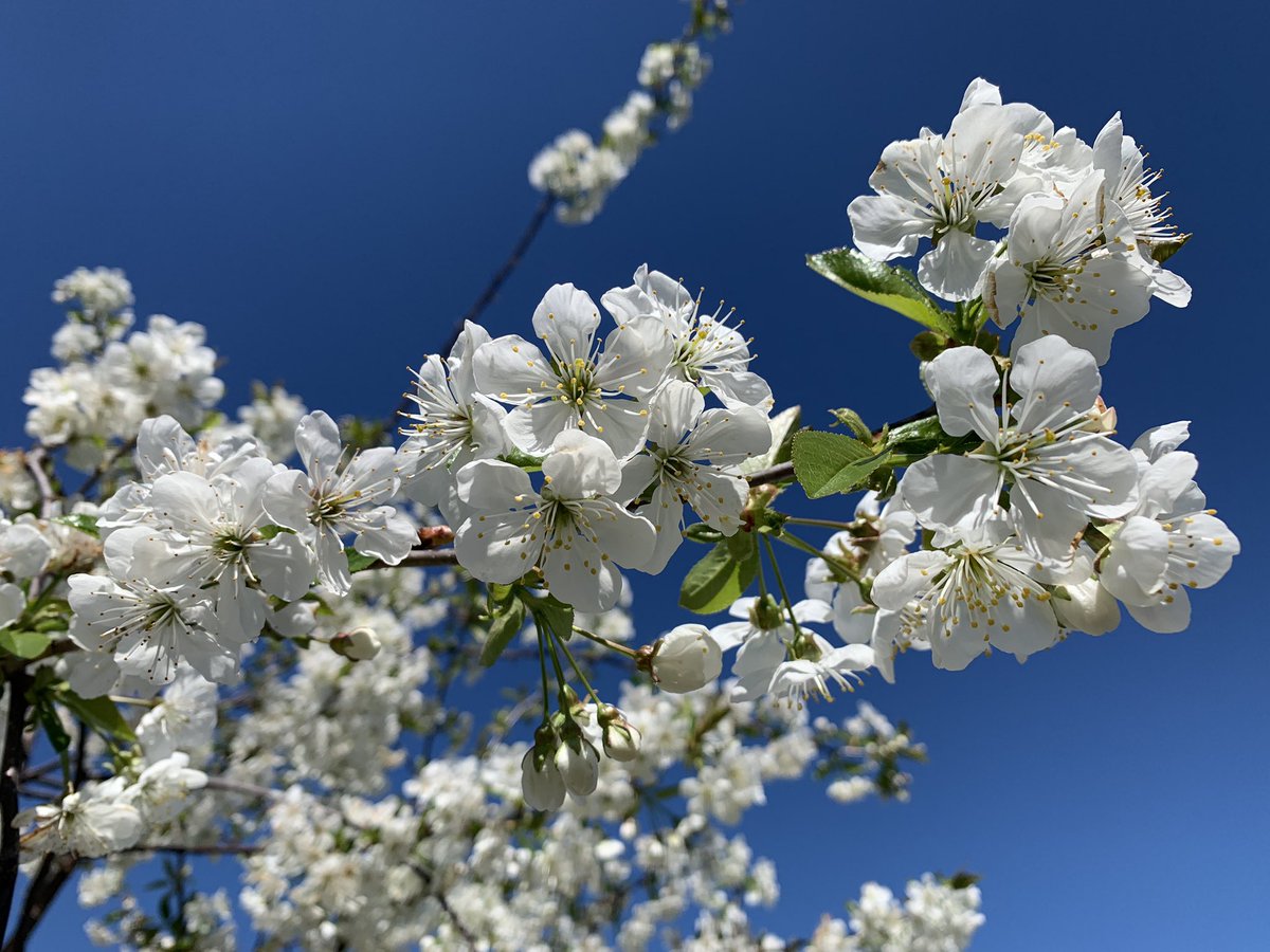 Jo Woolley tweet media