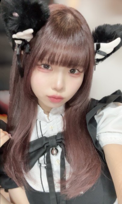 黒猫メイド魔法カフェ　ドン・キホーテ広島八丁堀店のツイート