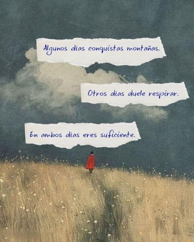 angelo_uf's tweet photo. https://t.co/LjOmtncZcR