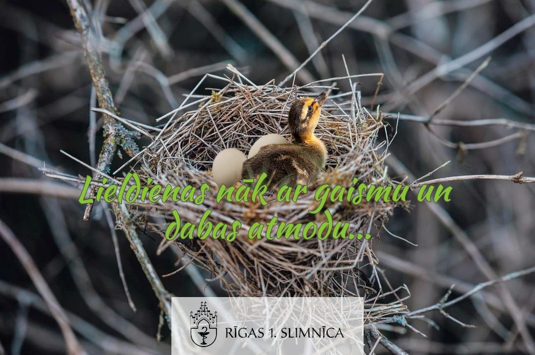 Lieldienas ir pavasara gaismas un dabas atdzimšanas laiks.
Lai pavasara enerģija stiprina mūs darba ikdienā, dāvā sirdsmieru un saskaņu ģimenē!