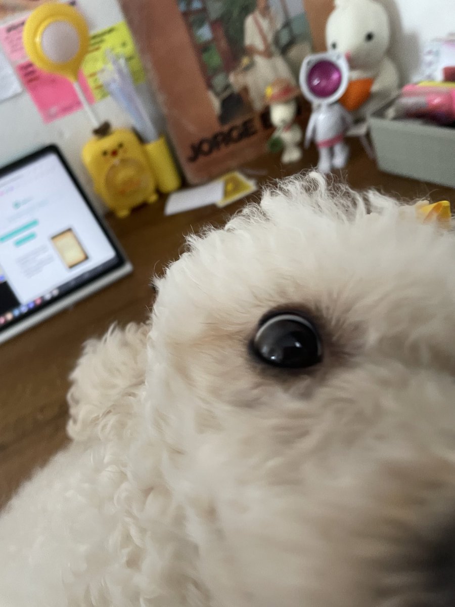 minha companheira &lt;3