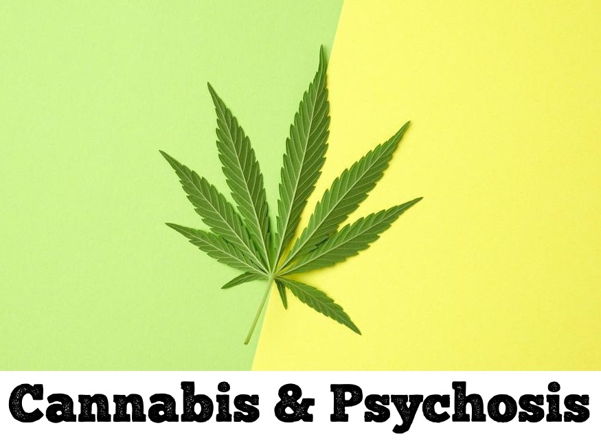 chrisaikenmd's tweet photo. Cannabis plays a causative role in #schizophrenia, particularly in teens, raising the risk 2-4 fold, concludes 10 epidemiological studies in new analysis:
https://t.co/tOtr0vyo0m

#psychiatry #addiction #pmhnp #sobriety https://t.co/h0YKj7wrND